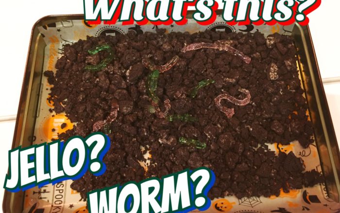 土に埋まったミミズを美味しくいただきました。