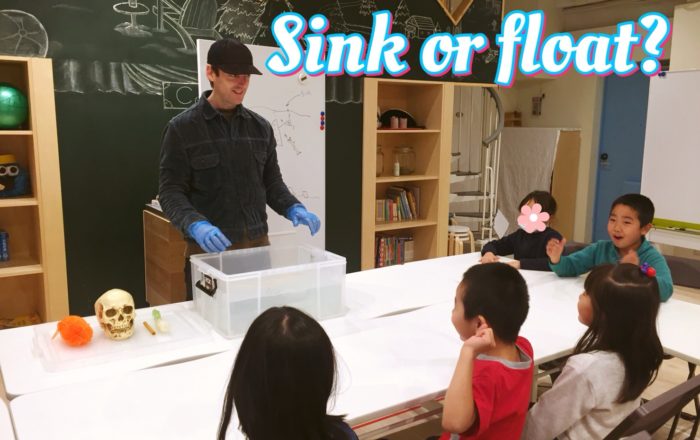 Sink or float?（沈む？浮く？）科学実験／ナイトコース：絵を並び替えてストーリーを発表