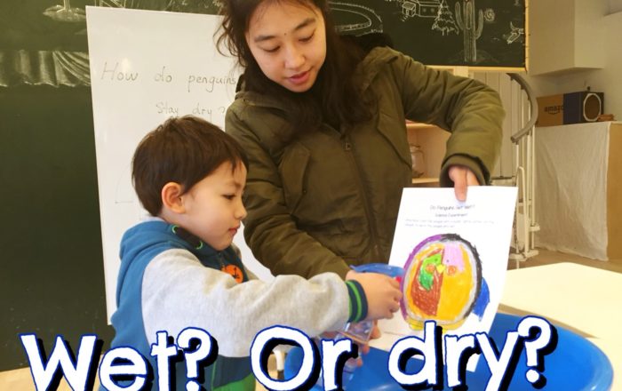 サイエンス実験。クレヨンで描いた絵は濡れる？濡れない？