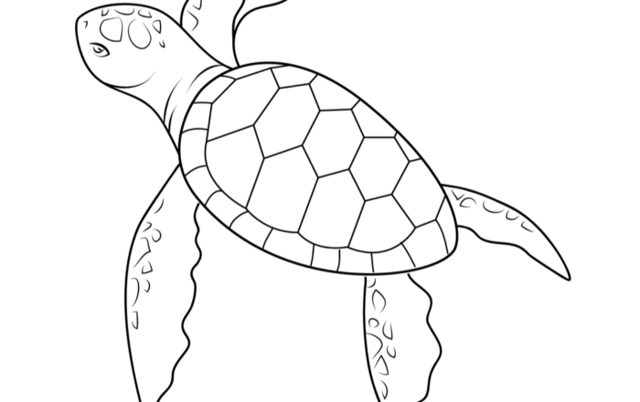 上手に描けるコツ