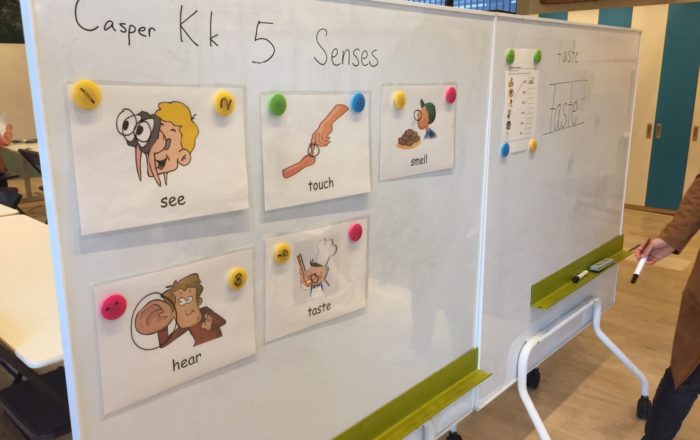 5 Senses（五感）の言葉を練習をしました