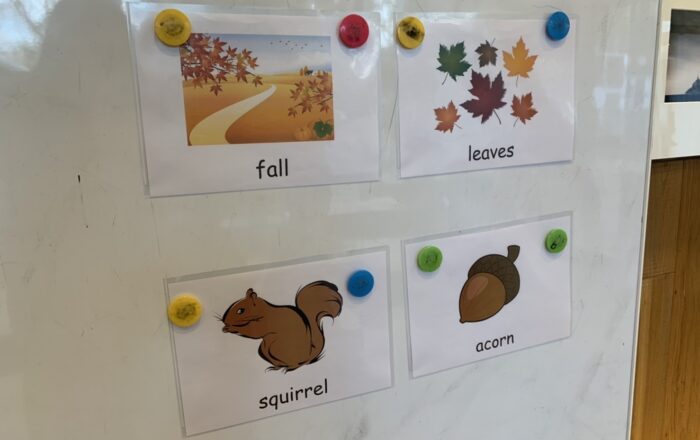 Workshop（ワークショップ）